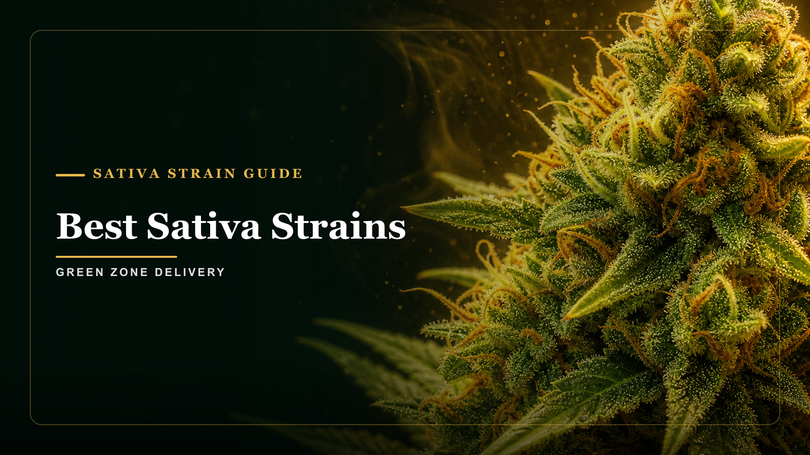 Best Sativa Strains — Green Zone Delivery
