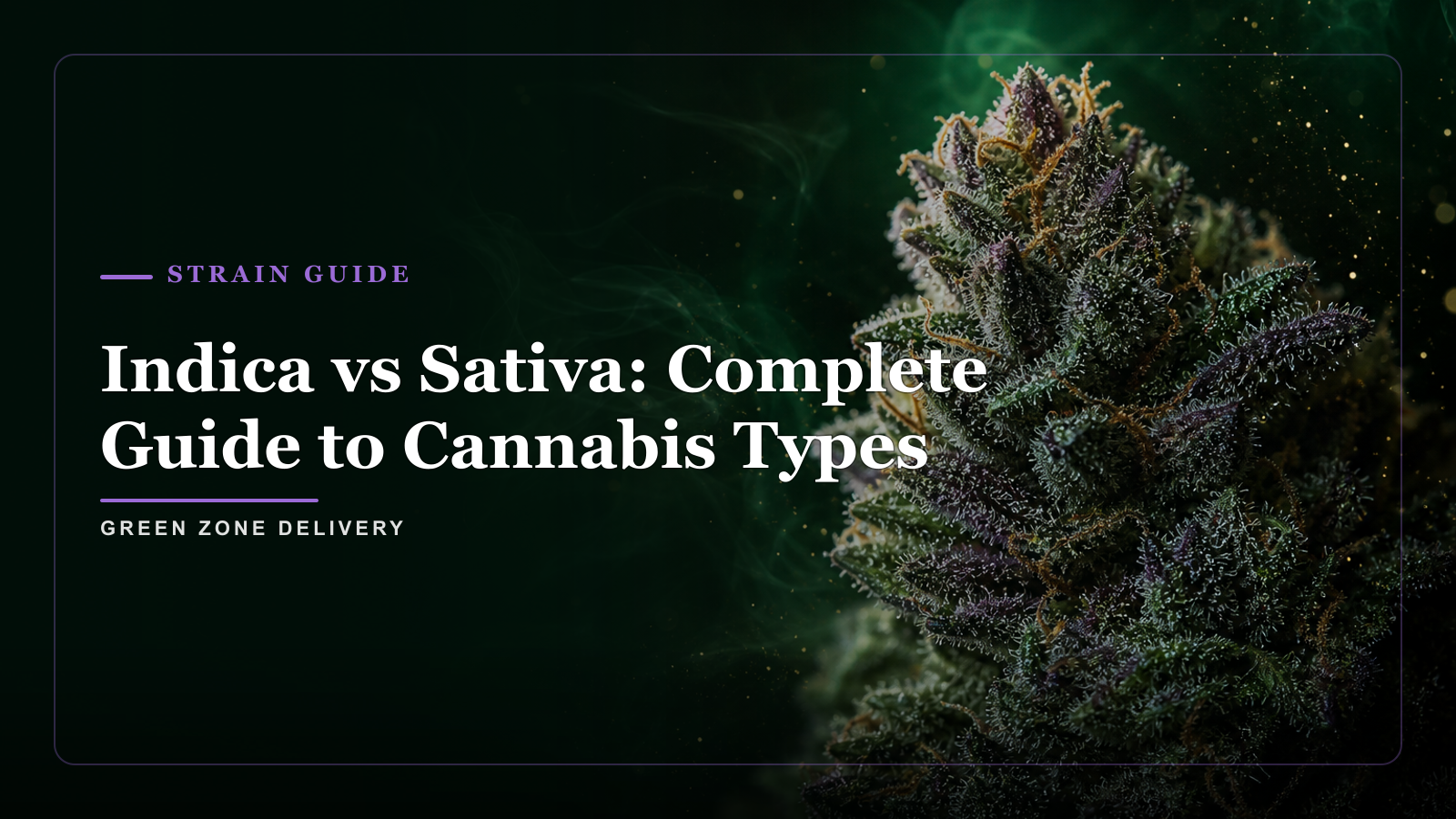 Indica vs Sativa: Complete Guide to Cannabis Types — Green Zone Delivery