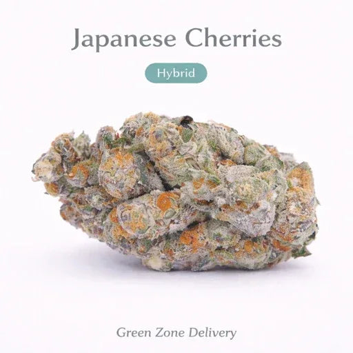 Japanese Cherries - Hybrid - GZ Store