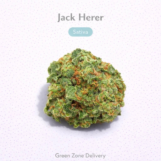 Jack Herer