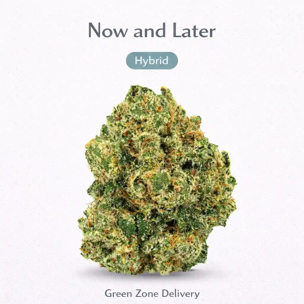 Now and Later - Hybrid - Green Zone Delivery