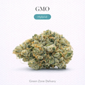 GMO