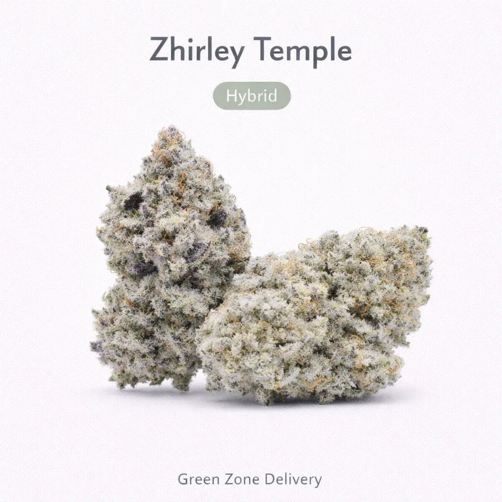 Zhirley Temple - Hybrid - GZ Store