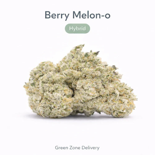 Berry Melon-o - Hybrid - GZ Store