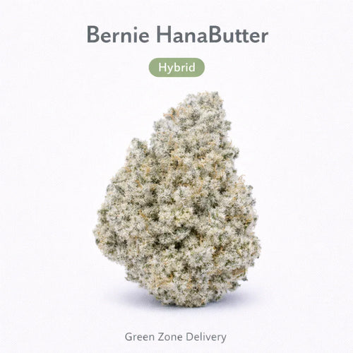 Bernie HanaButter - Hybrid - GZ Store