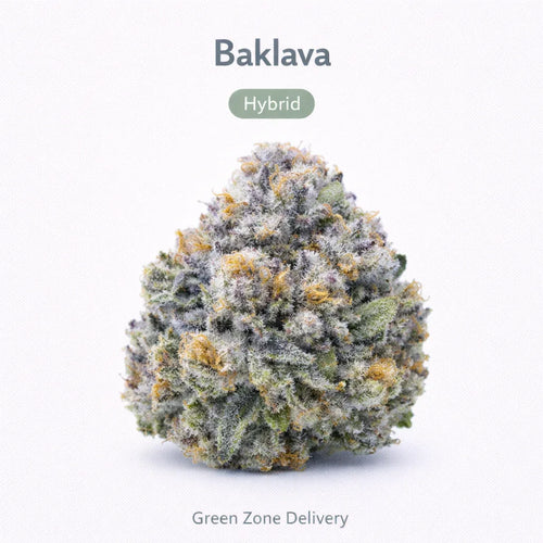 Baklava - Hybrid - GZ Store