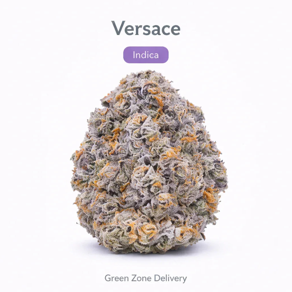 Versace - Indica - GZ Store