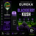 EUREKA PRELOAD Blackberry Kush 1g Green Zone Delivery Product Image