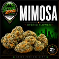 Mimosa Hybrid Flower - Green Zone Delivery