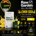 Raw Garden Lemon Soda product image